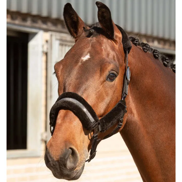 Harry\'s Horse halsterset Denici Cavalli Stardust